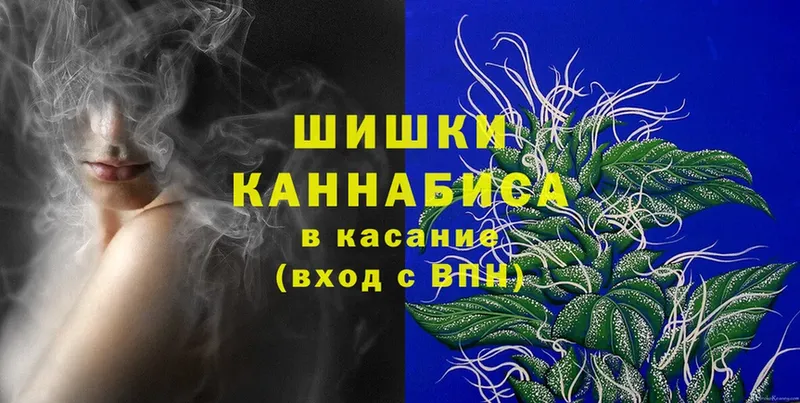 Бошки марихуана THC 21%  Зарайск 